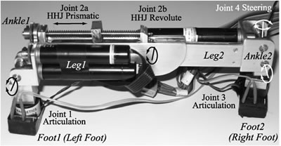 Hybrid Hip Joint Climbing Robot